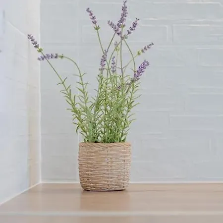 Saint Spiridon 빌라 *