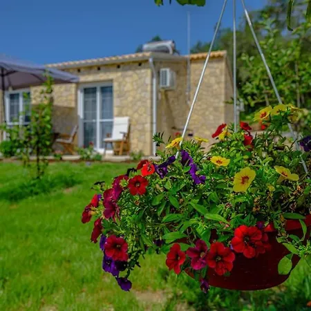 Saint Spiridon * Gardeládes