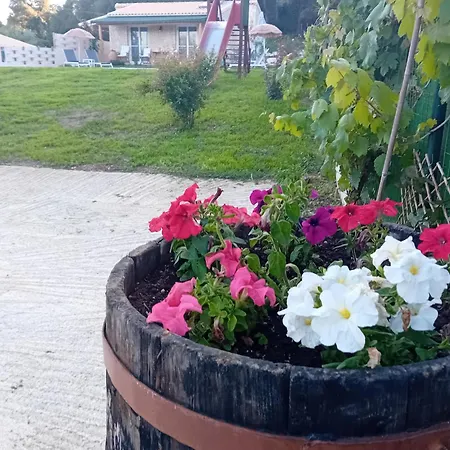 Saint Spiridon 빌라 *